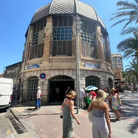 El Palmeral 아파트 알리칸테