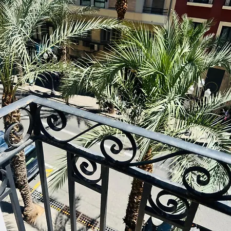 El Palmeral